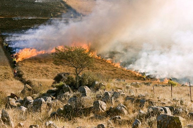 Wildfires in California